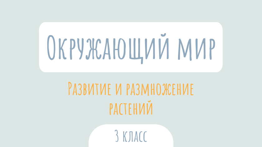 Окружающий мир: Развитие и размножение растений