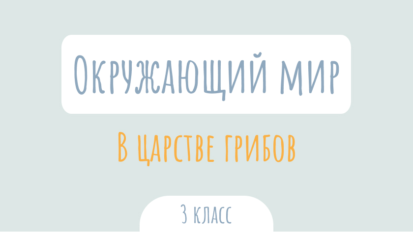 Окружающий мир: В царстве грибов