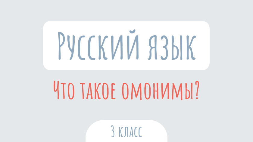 Русский язык: Что такое омонимы?