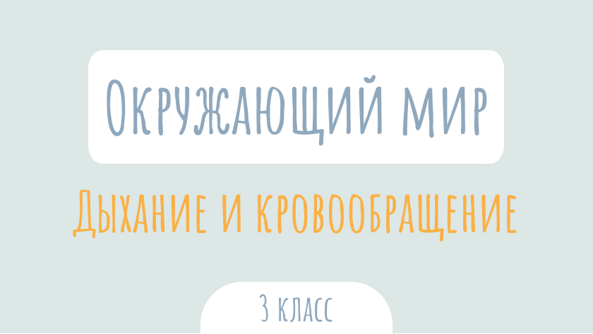 Окружающий мир: Дыхание и кровообращение