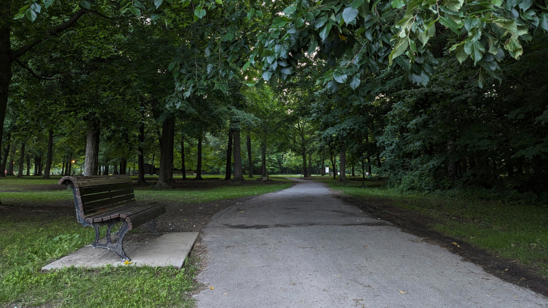 Фото парка
