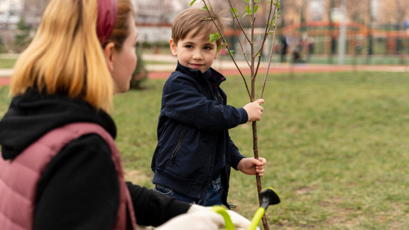 Мальчик держит саженец дерева на природе
