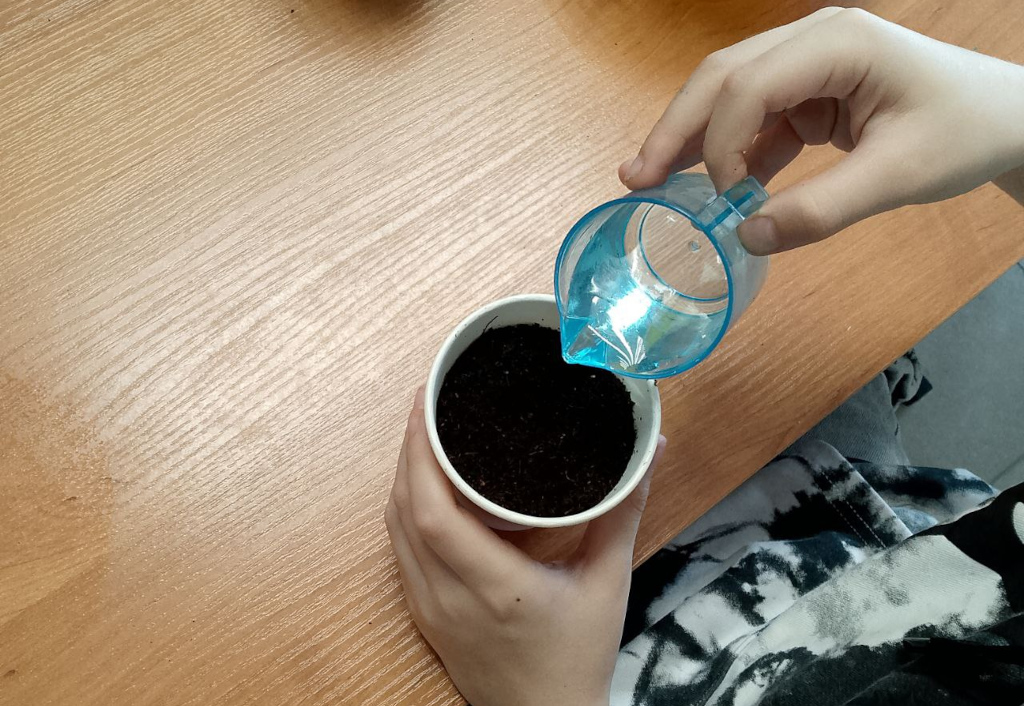 Полив горшка водой