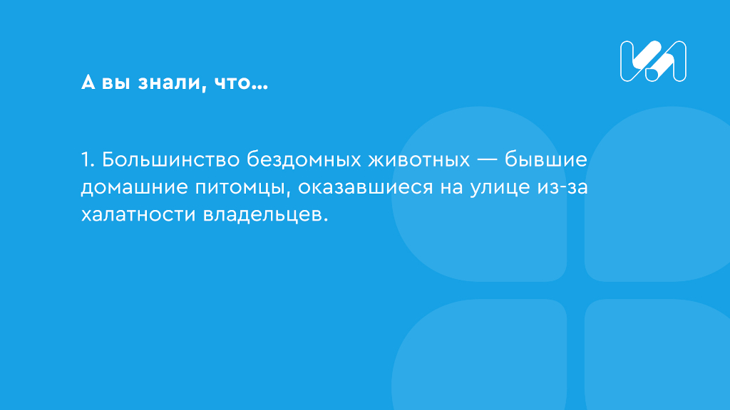Карточка с интересным фактом 1