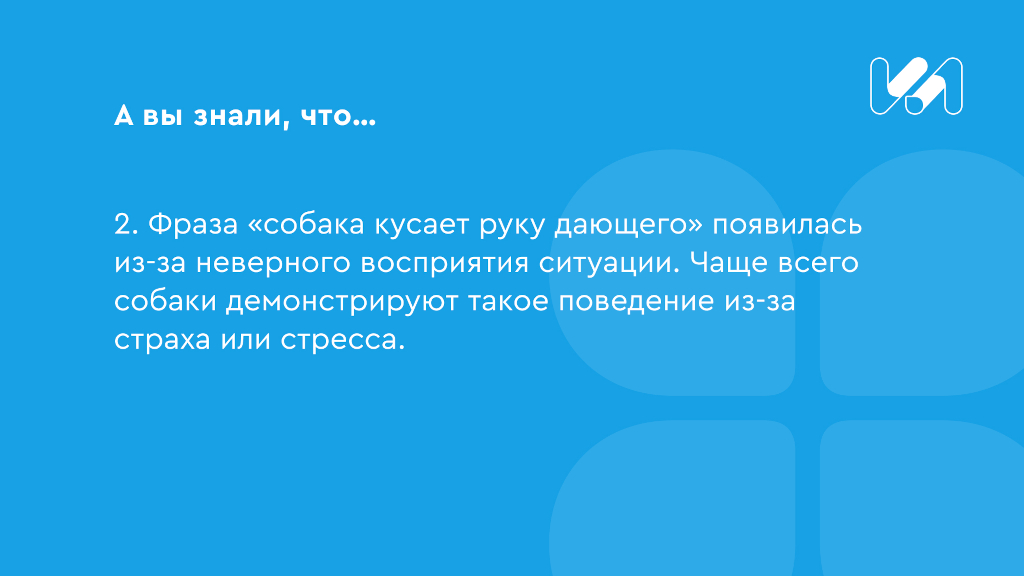 Карточка с интересным фактом 2