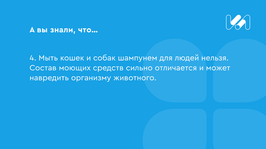 Карточка с интересным фактом 4