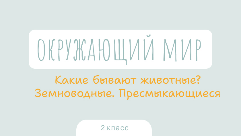 Окружающий мир: Какие бывают животные? Земноводные. Пресмыкающиеся