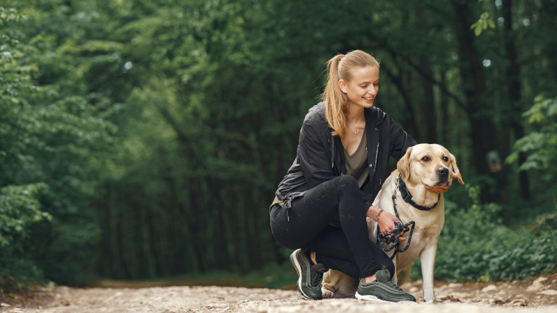 Девушка с собакой