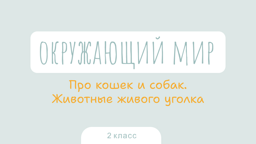 Окружающий мир: Про кошек и собак. Животные живого уголка