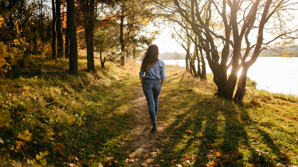 Самопомощь при информационной перегрузке для педагога: как вернуть ясность и энергию