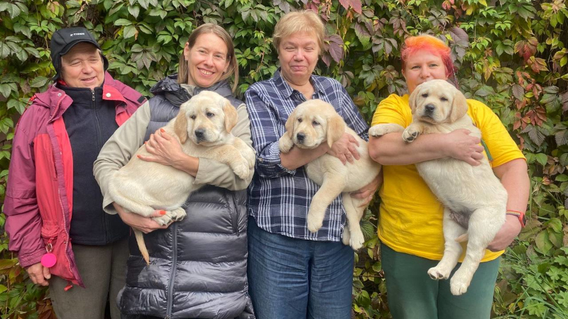 Собаки на руках