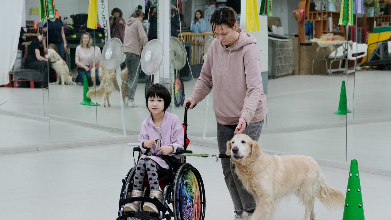 Больше чем любимцы: собаки-помощники