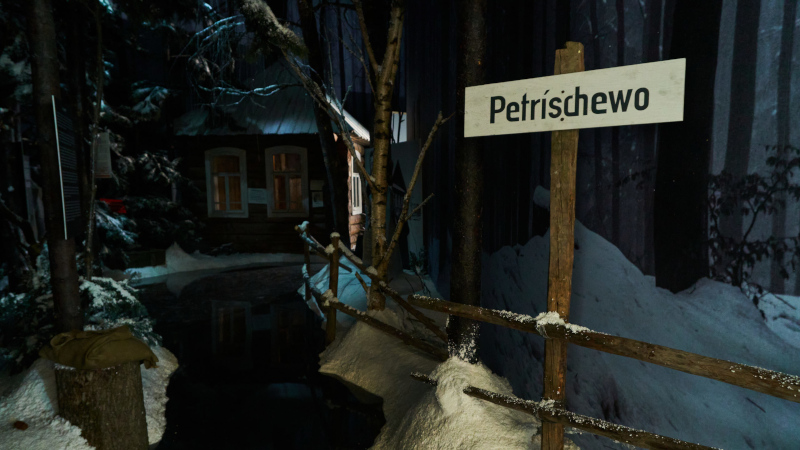 деревня Петрищево