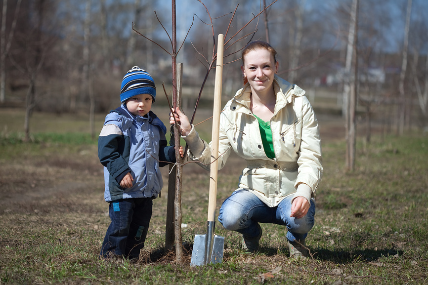Мама с маленьким сыном садят дерево