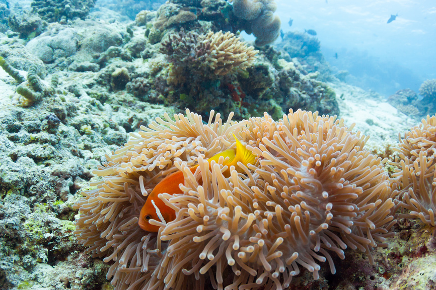 Учебный текст к уроку №32 (5 класс): Единство страны — залог будущего России