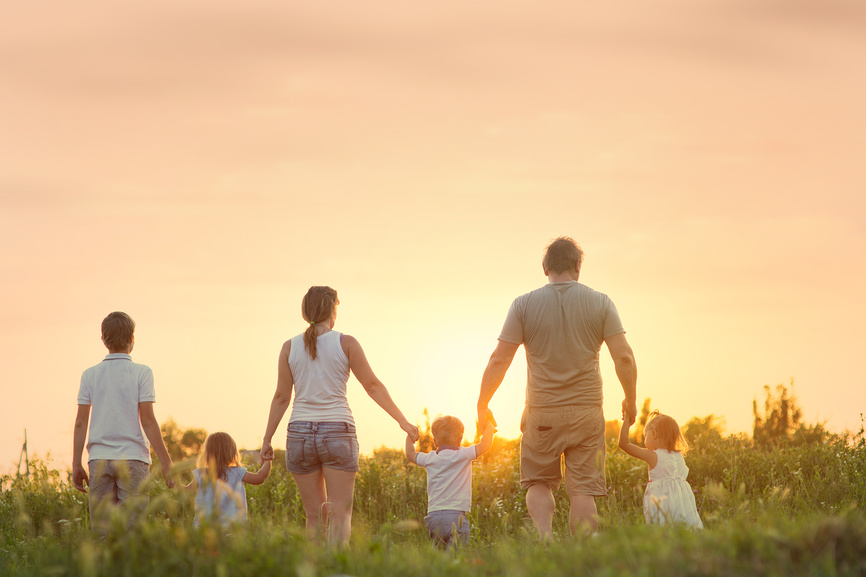 Большая семья