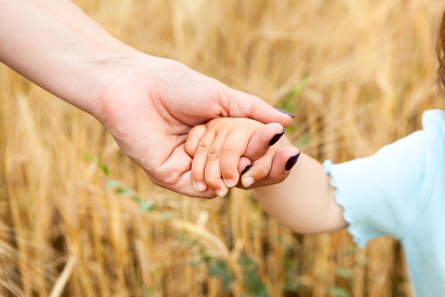Женская рука держит руку ребенка на фоне желтой пшеницы