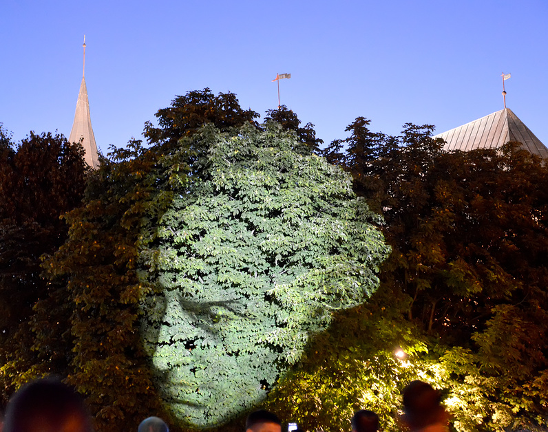 Световая проекция портрета Иммануила Канта на кронах дерева. Калининград