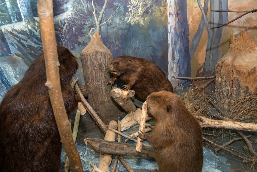 Учебный текст к уроку №17 (5 класс): Личность — общество — культура