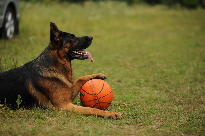 Учебный текст к уроку №15 (6 класс): Труд делает человека человеком