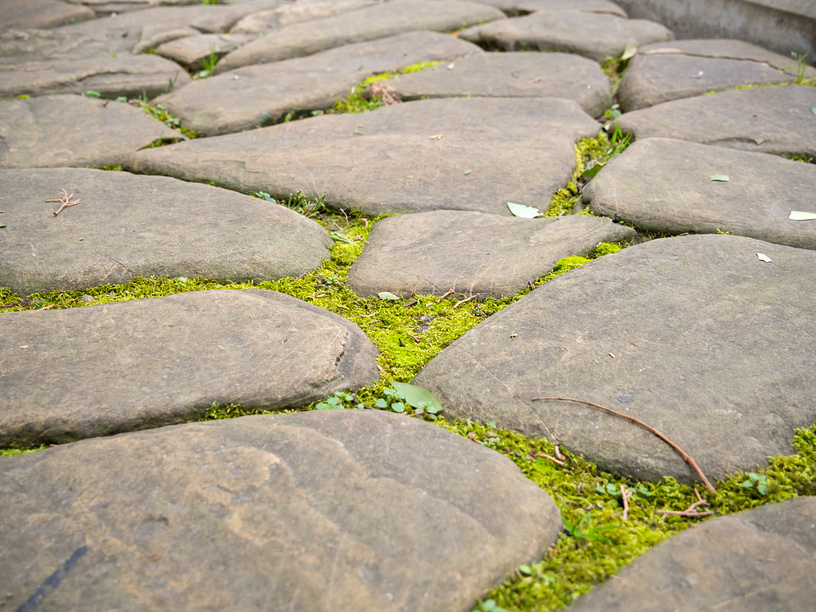 Учебный текст к уроку №26 (5 класс): Памятники архитектуры в культуре народов России