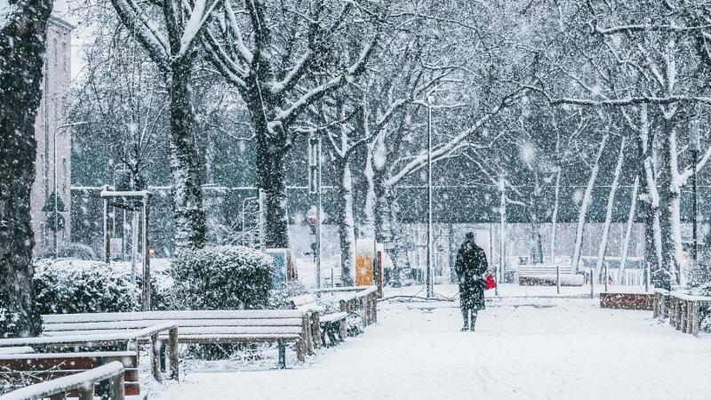 Зимний пейзаж парка