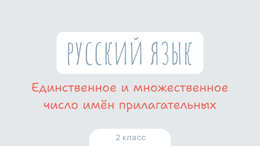 Русский язык: Единственное и множественное число имен прилагательных