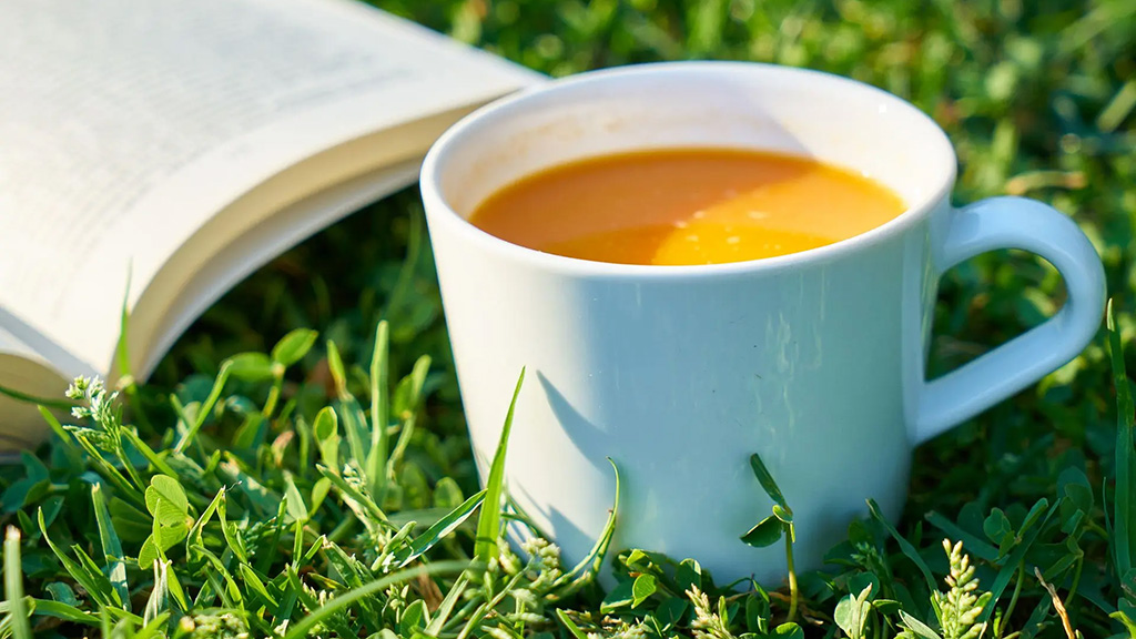 Личный опыт: как совместить работу и дачу в майские праздники