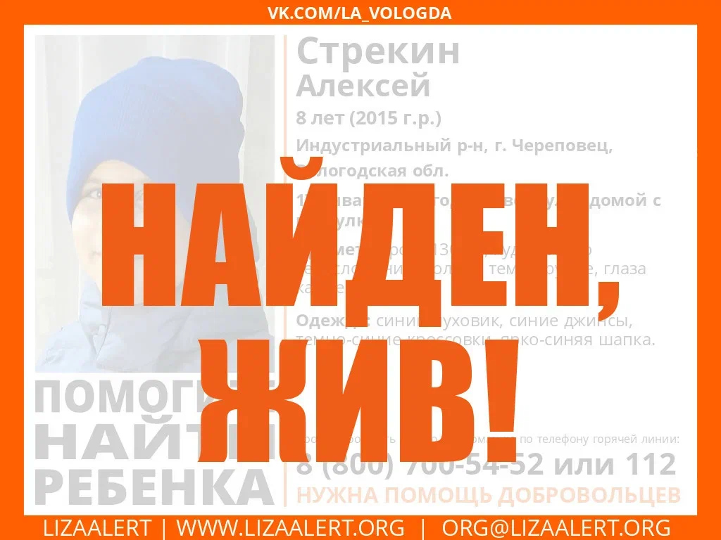 Лиза Алерт