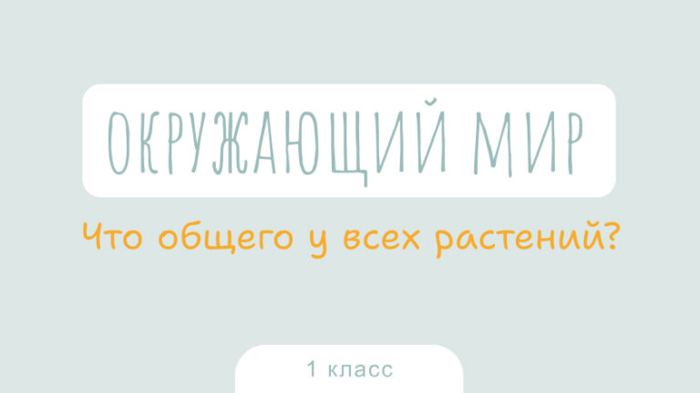 Окружающий мир: Что общего у всех растений?