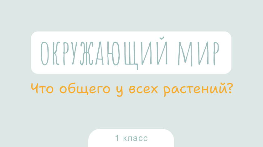 Окружающий мир: Что общего у всех растений?
