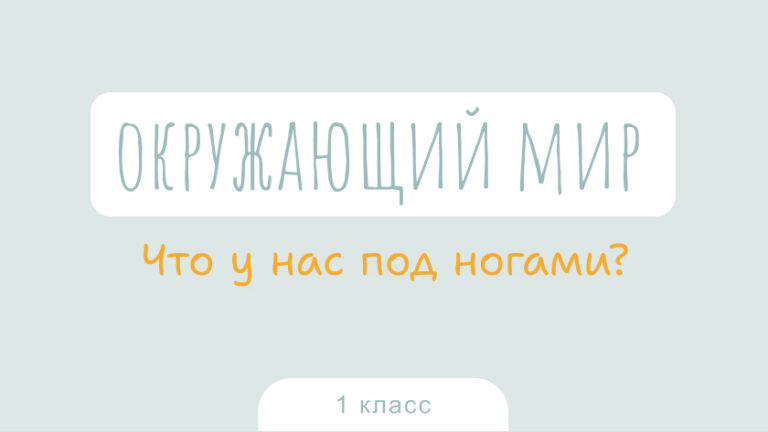 Окружающий мир: Что у нас под ногами?