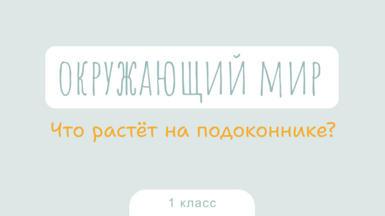Окружающий мир: Что растёт на подоконнике?