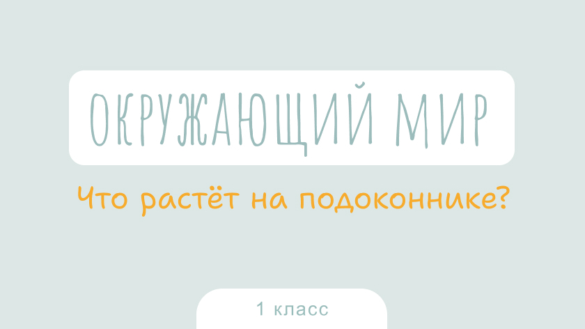 Окружающий мир: Что растёт на подоконнике?