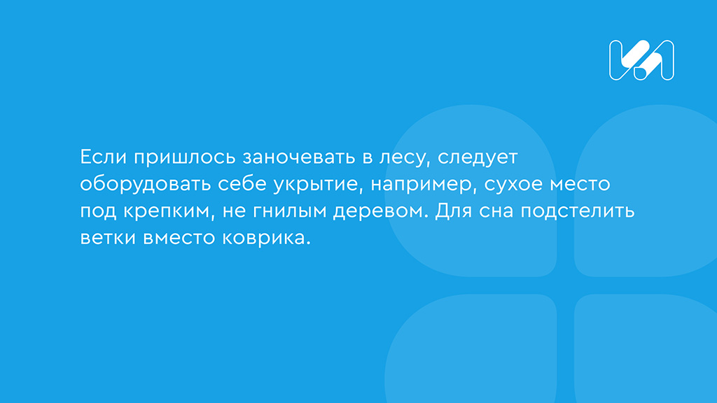 заночевать в лесу карточка