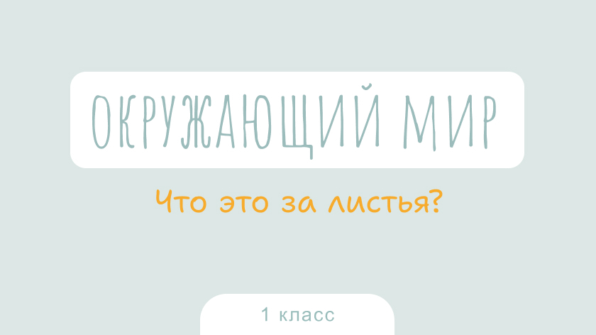 Окружающий мир: Что это за листья?