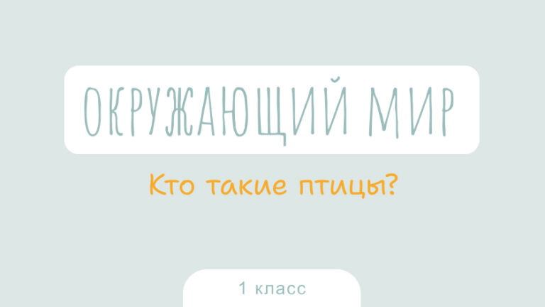 Окружающий мир: Кто такие птицы?