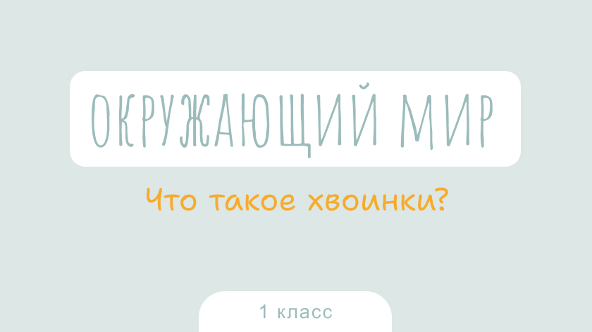 Окружающий мир: Что такое хвоинки?